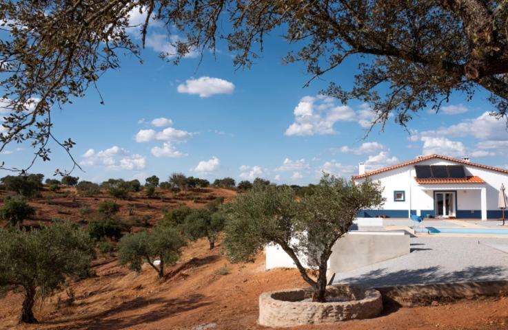 مبيت وإفطار Vila Verde de Ficalho Monte Anna المظهر الخارجي الصورة