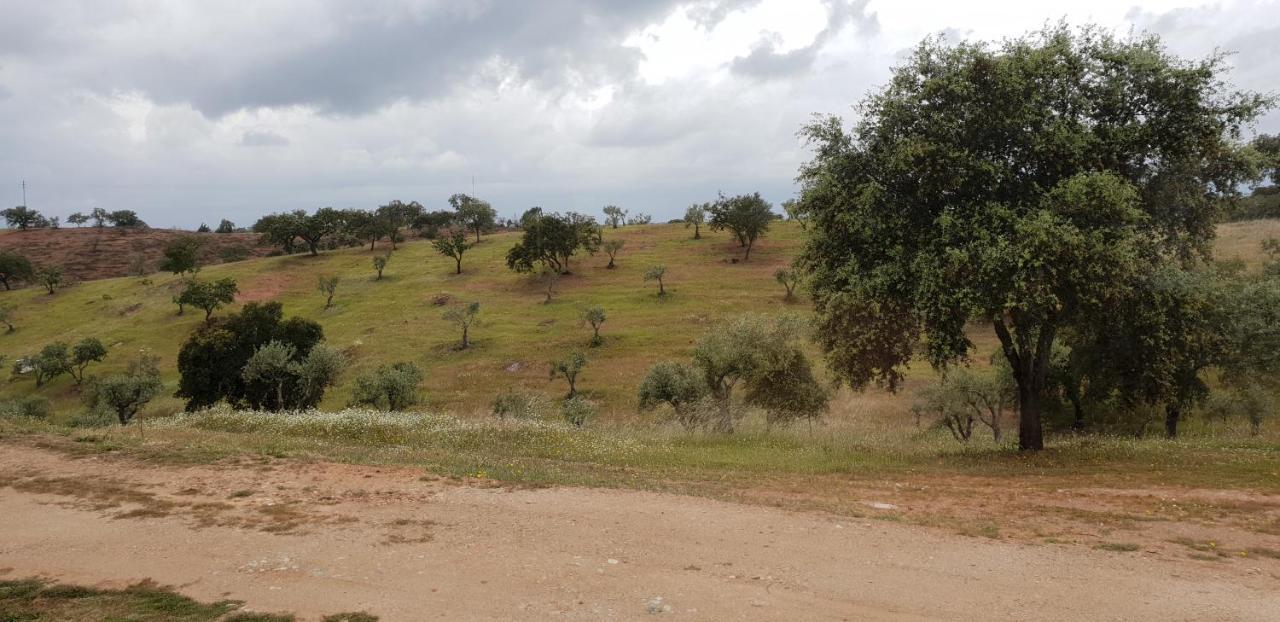 مبيت وإفطار Vila Verde de Ficalho Monte Anna المظهر الخارجي الصورة