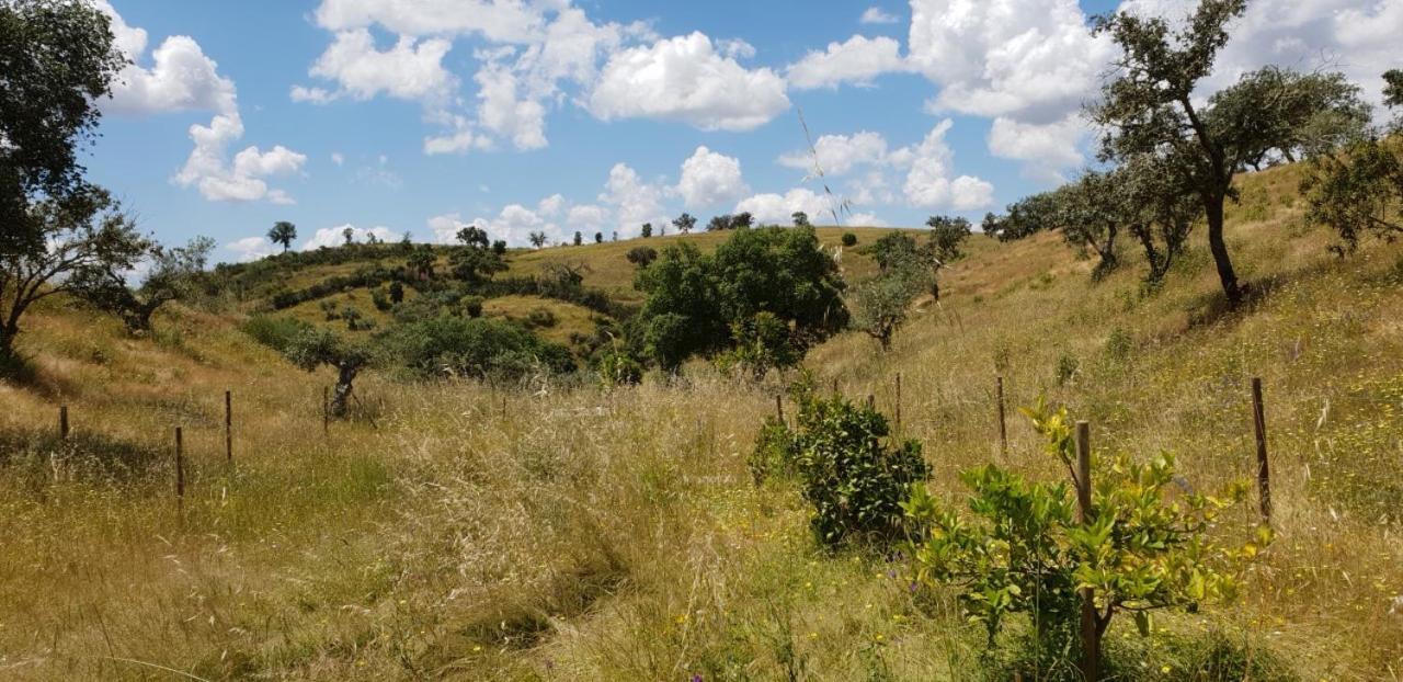 مبيت وإفطار Vila Verde de Ficalho Monte Anna المظهر الخارجي الصورة