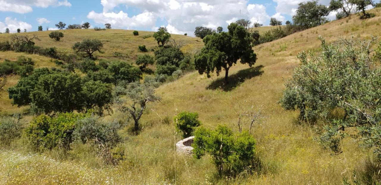 مبيت وإفطار Vila Verde de Ficalho Monte Anna المظهر الخارجي الصورة