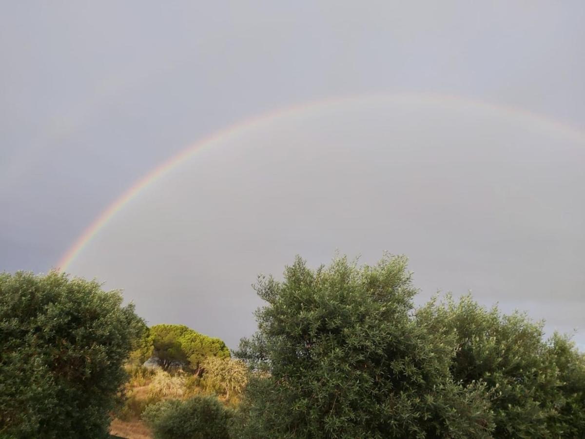 مبيت وإفطار Vila Verde de Ficalho Monte Anna المظهر الخارجي الصورة