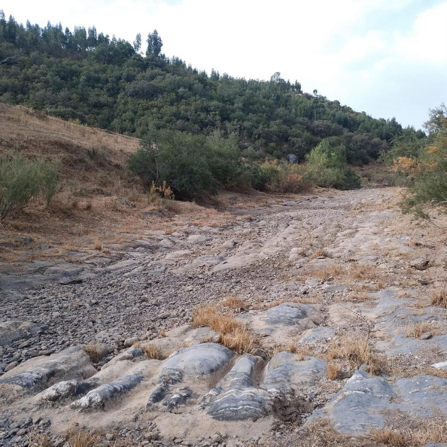 مبيت وإفطار Vila Verde de Ficalho Monte Anna المظهر الخارجي الصورة